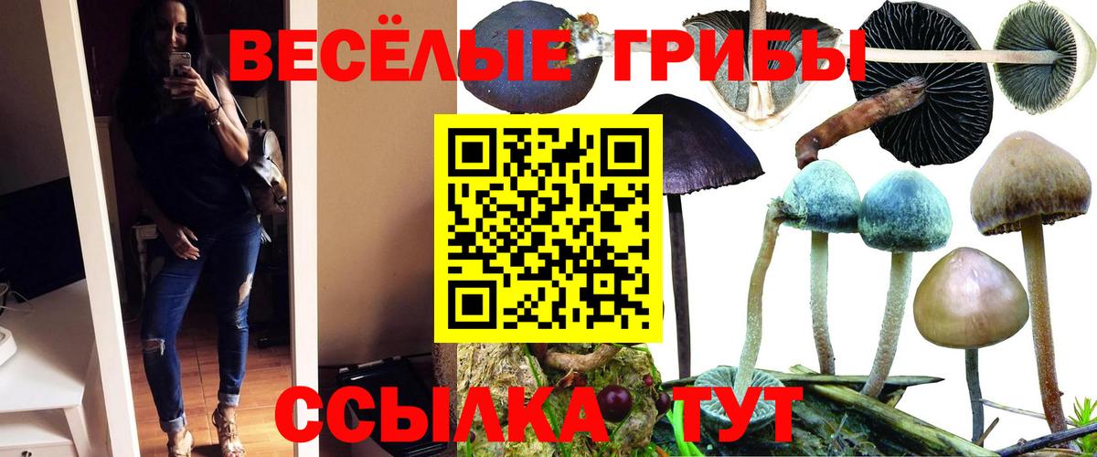 Галлюциногенные грибы ЛСД  Вход с VPN  Славгород 