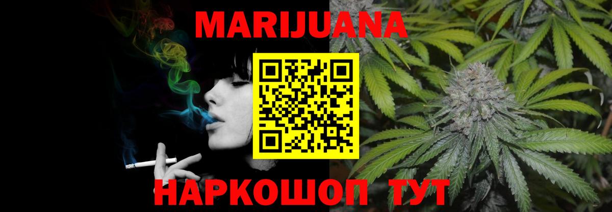 Каннабис OG Kush Славгород